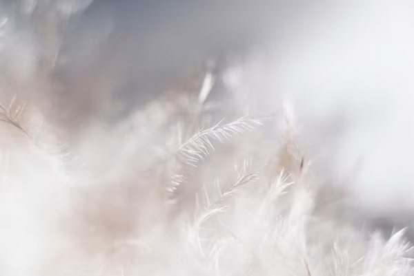3 saker bonusmammor är för rädda för att säga högt (men behöver höra)